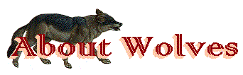 [img: About Wolves theme GIF]